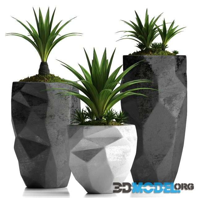 PLANTS 33