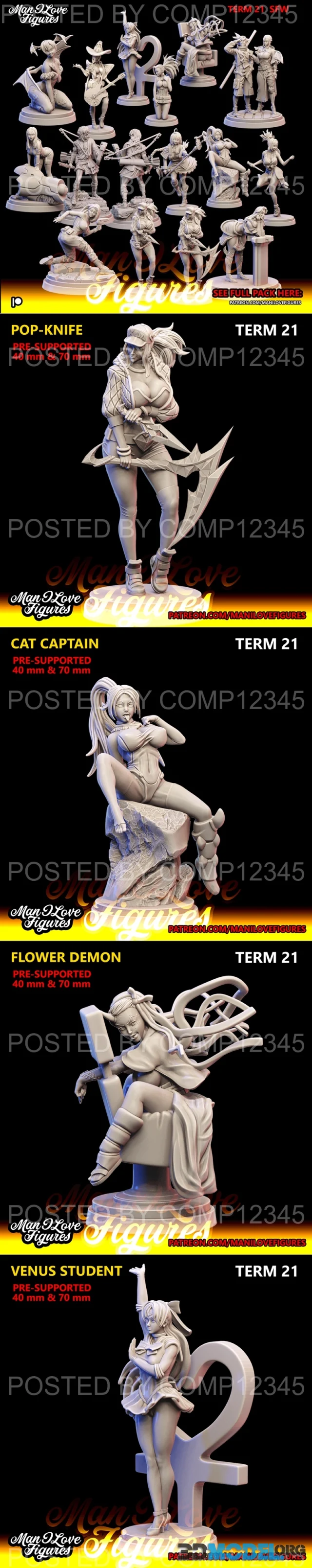 Man I Love Figures - Term 21 – Printable