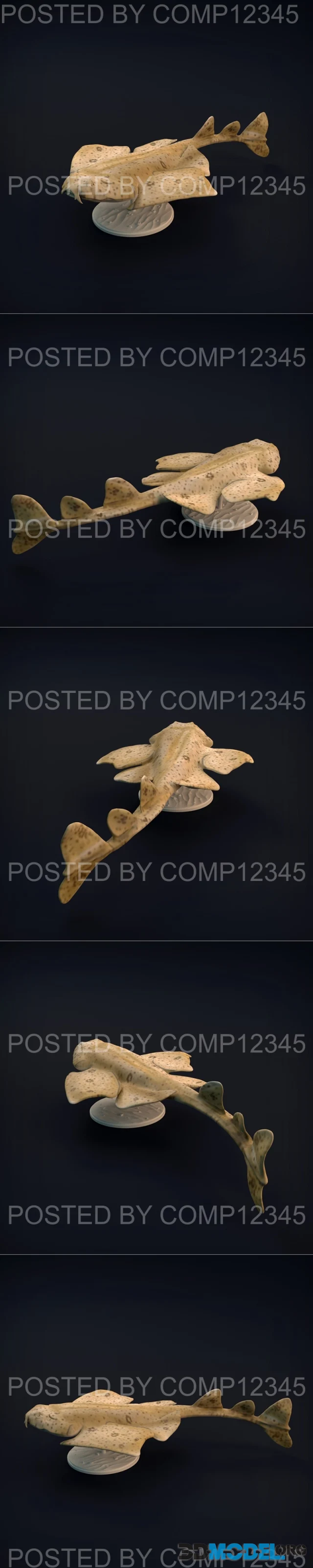 Angel Shark – Printable