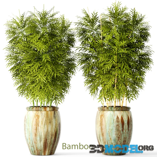 Bamboo set