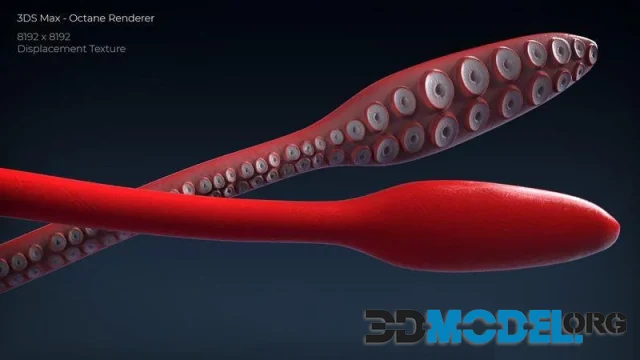 Giant Squid (PBR)