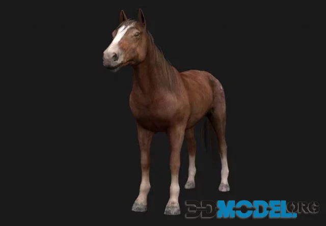 Horse Low-poly