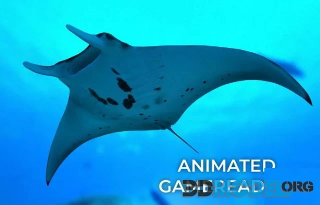 Manta Ray (PBR)