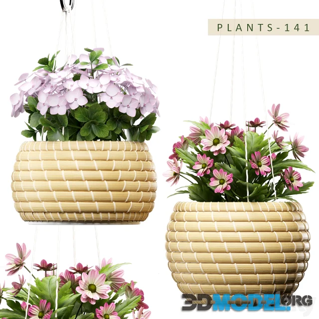 Plants 141