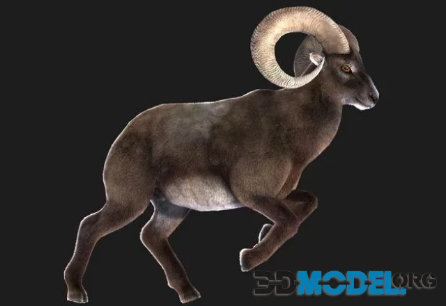 Rigged goat ram sheep (PBR)