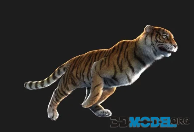 Rigged tiger wild cat beast (PBR)