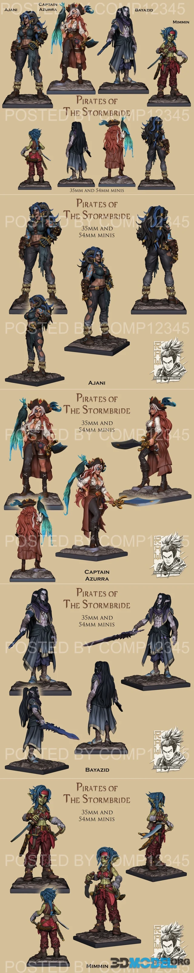 Ronin Arts Workshop - Pirates Of The Stormbride August 2023 – Printable