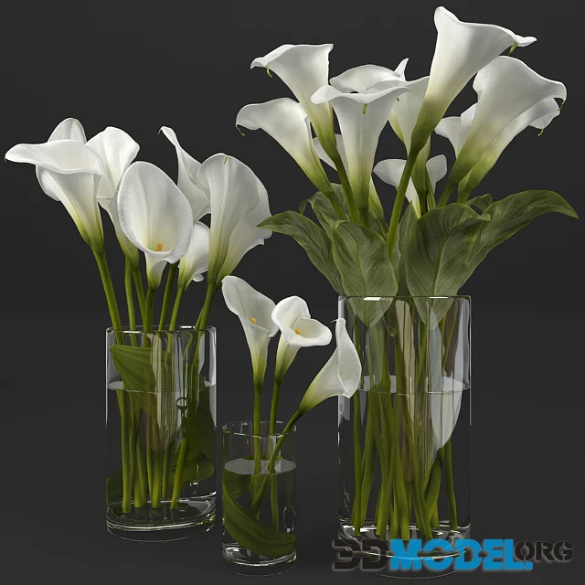 Calla lily 3 vases