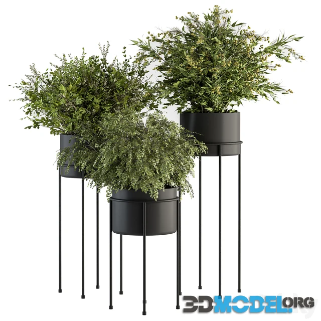 indoor Plant Set 371- Bush and Plant Set in Black stand