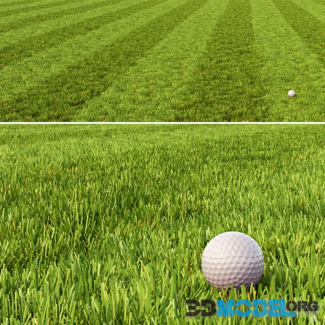 Mowed Lawn