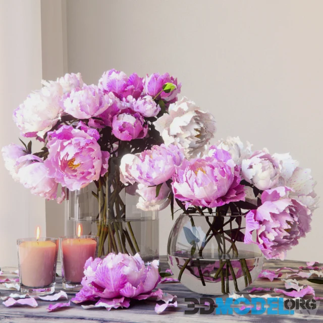Peonies