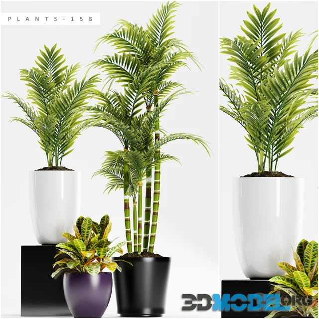 PLANTS 158
