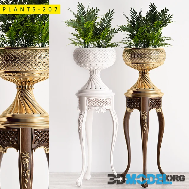 Plants 207