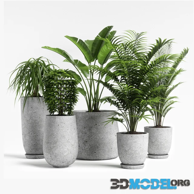 3D Model – plants set 04