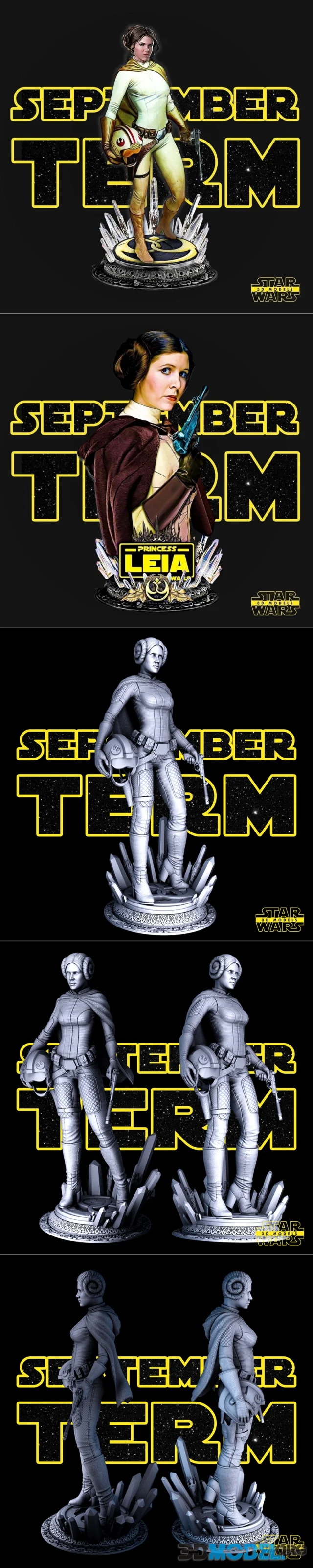 Star Wars - Leia Sculpture and Bust – Printable