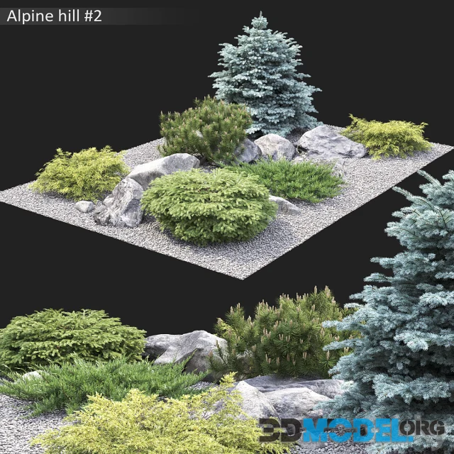 Alpine hill 2 with spruce