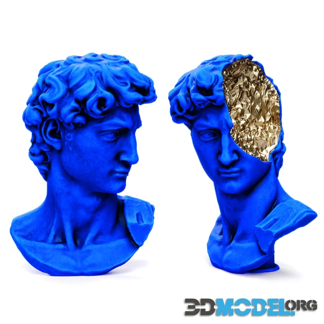 Bust of david michelangelo halfhead