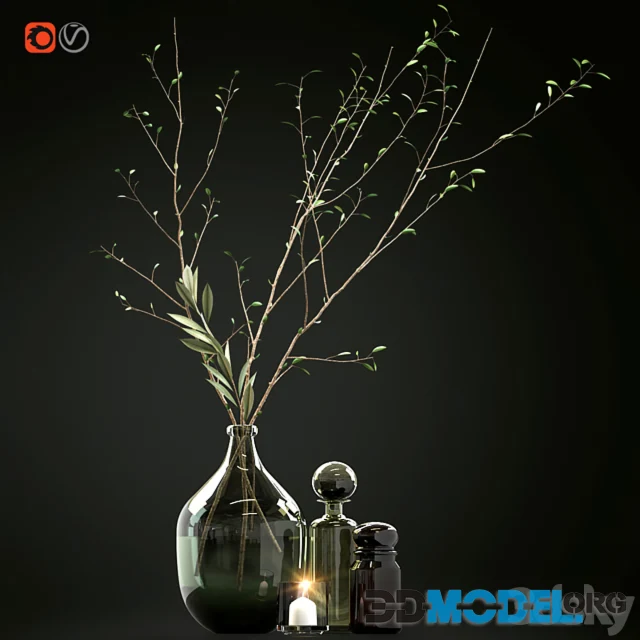 Decorative set with branches and glass bottles
