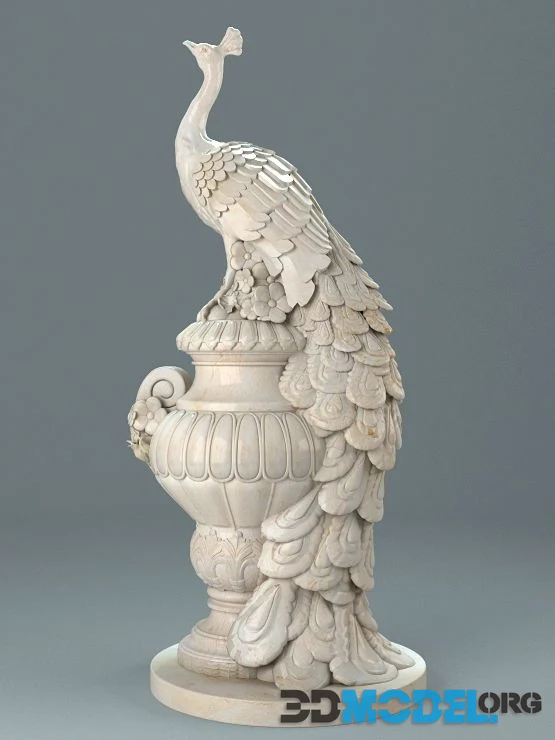 Drinker Peacock