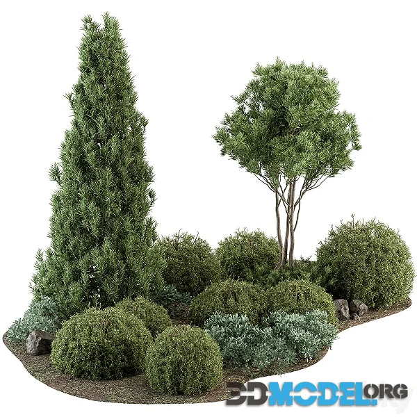 Garden Set Topiary and pine Plants – Outdoor Plants Set 410
