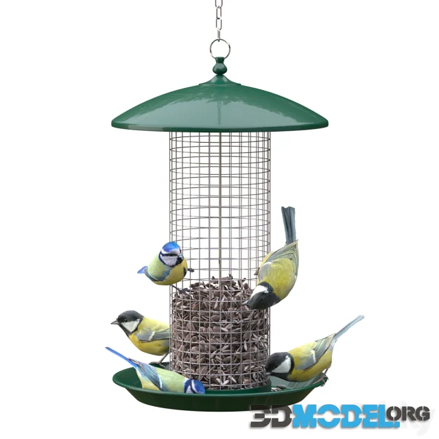 Great Tits and Blue Tits at bird feeder