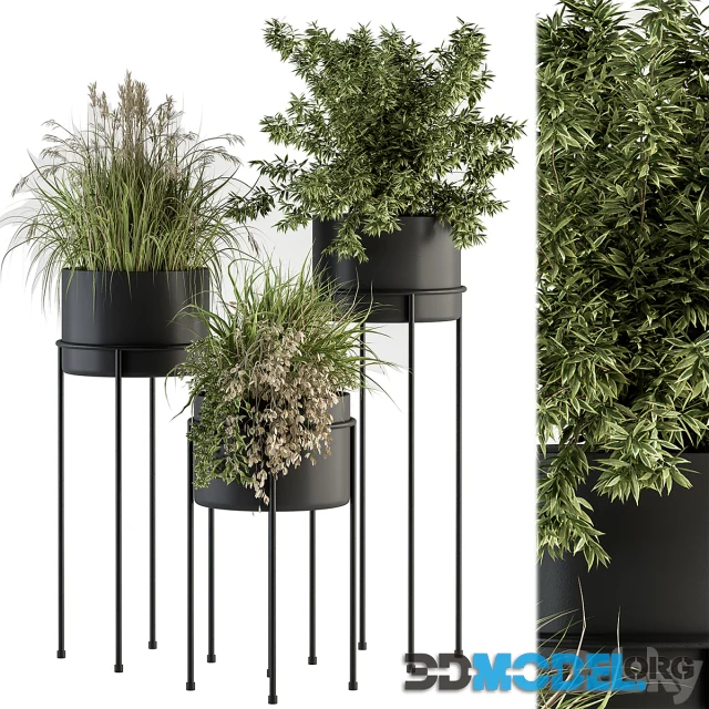 3D Model – Indoor Plant Set 370 - Tree and Plant Set Stand pot