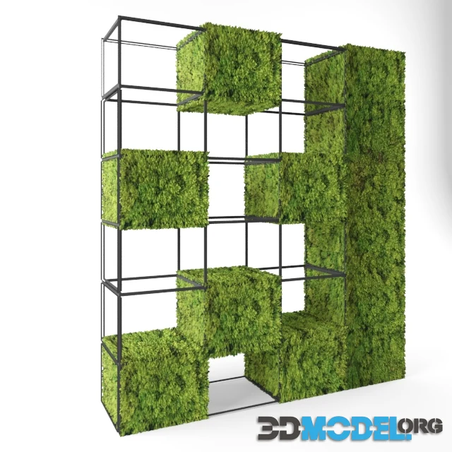 Moss shelves