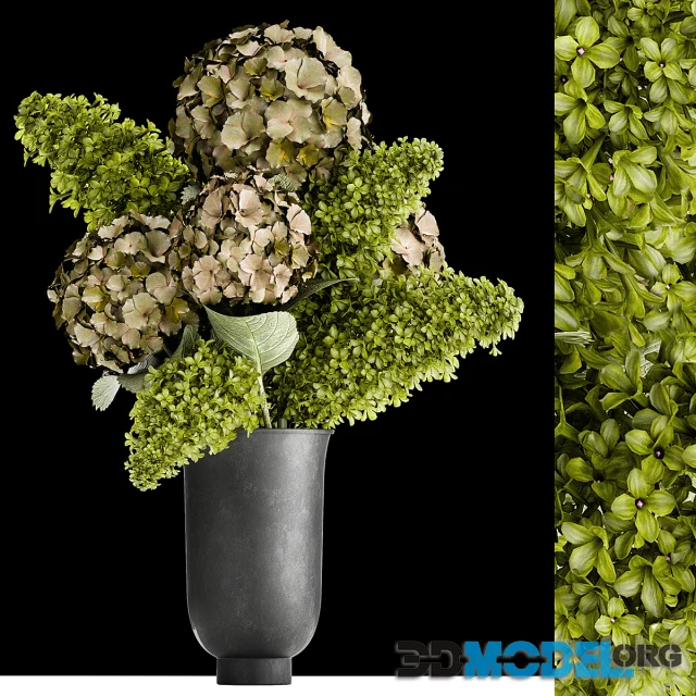 Beautiful modern bouquet of green flowers in a black vase MENU CYCLADES with Hydrangea green Lilac 169
