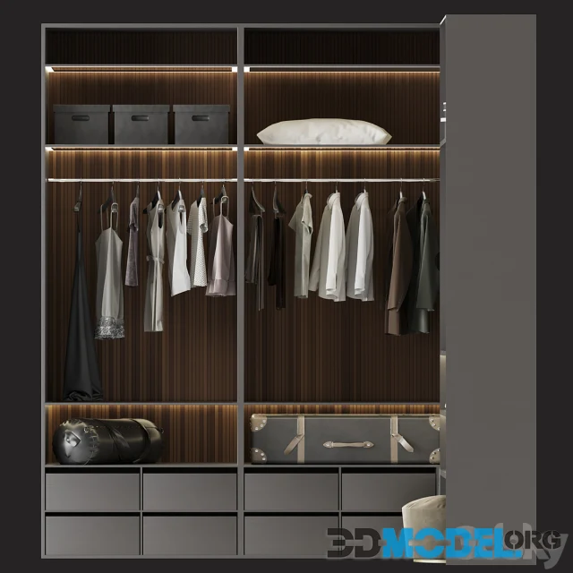 Brown Wardrobe Walk-in Closet Black Glass Door Simple and Luxury
