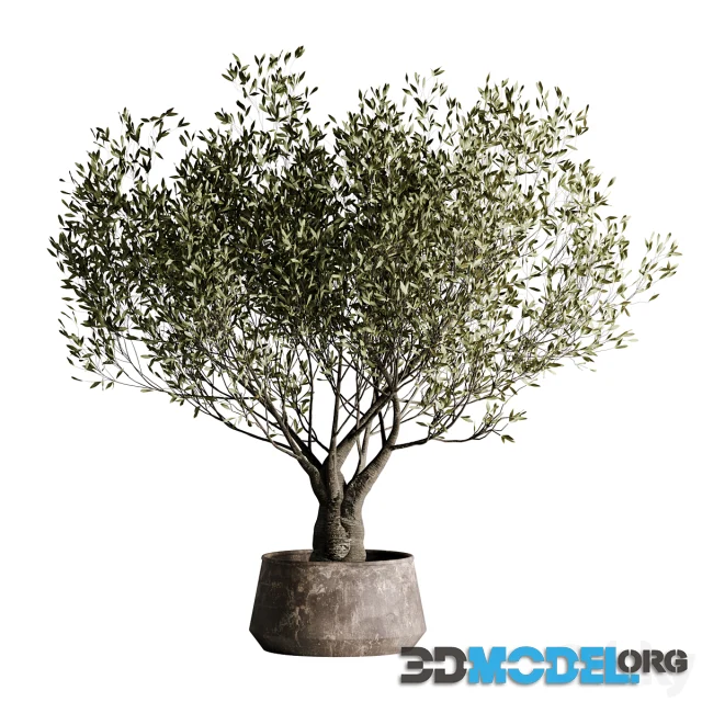 Indoor plant set 09