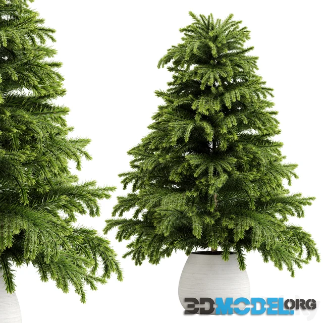 Indoor plant Set 18
