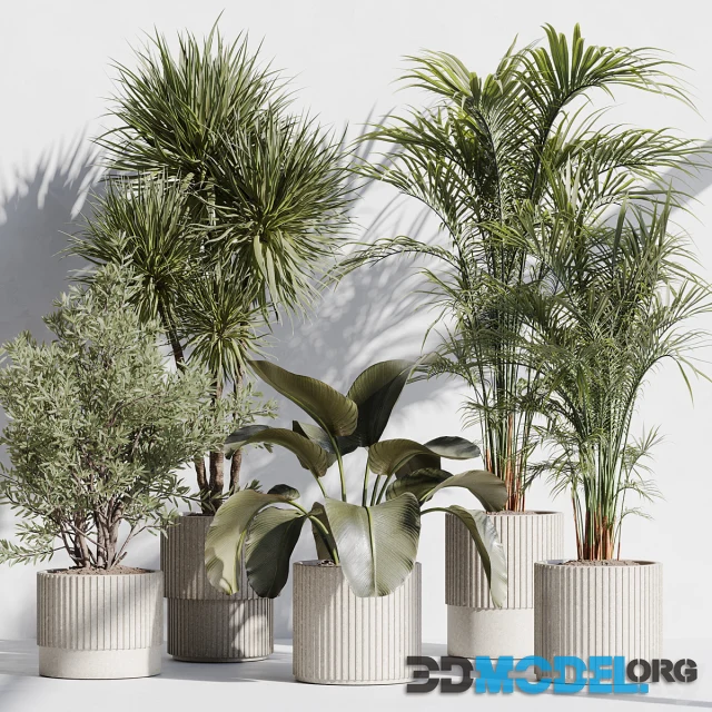 Indoor plant set 72