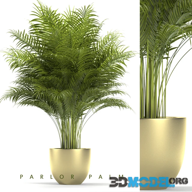 PLANTS 67