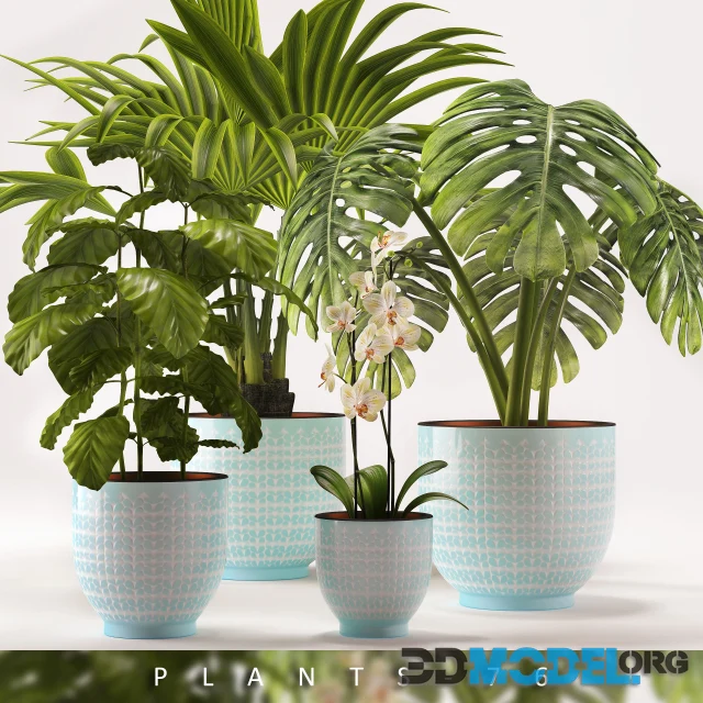 PLANTS 76