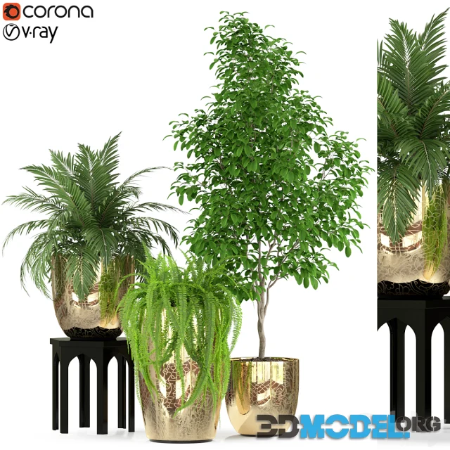 Plants collection 235