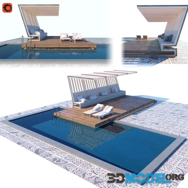 Pool with terrace and canopy
