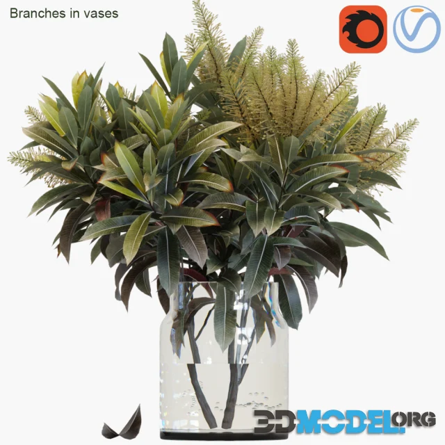 Branches in vases 25