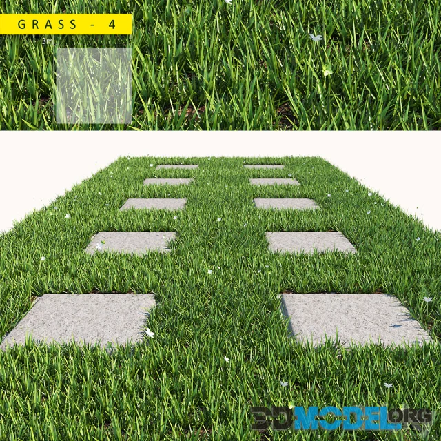 Grass 4