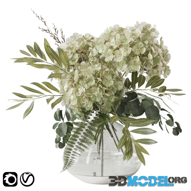 Green hydrangea