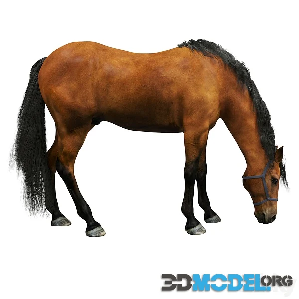 Horse red