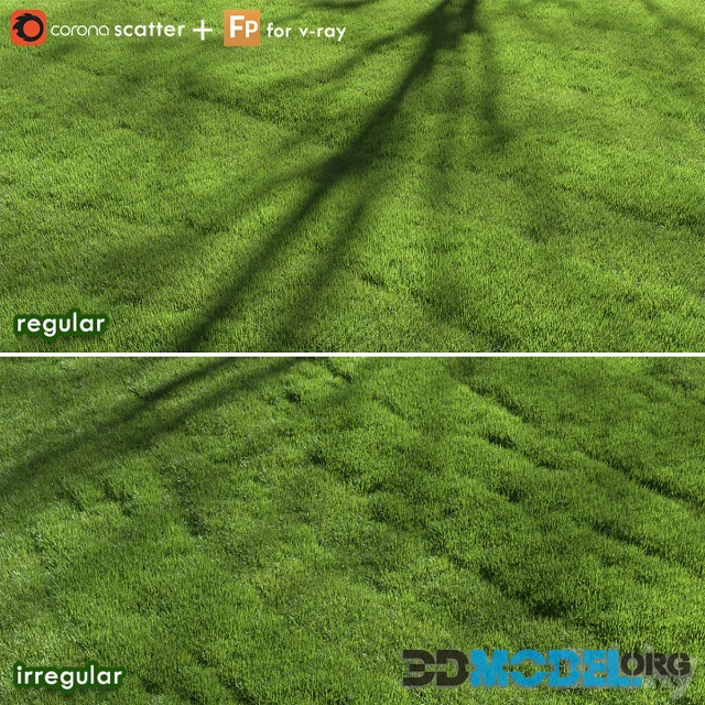 lawn grass