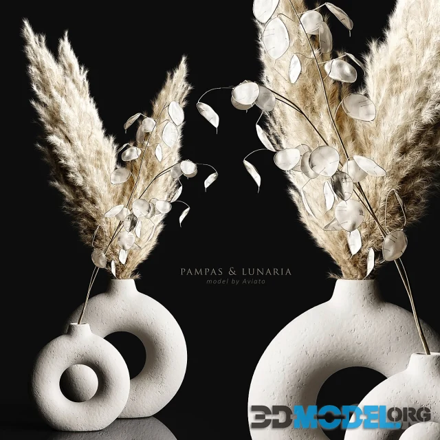 Pampas & lunaria