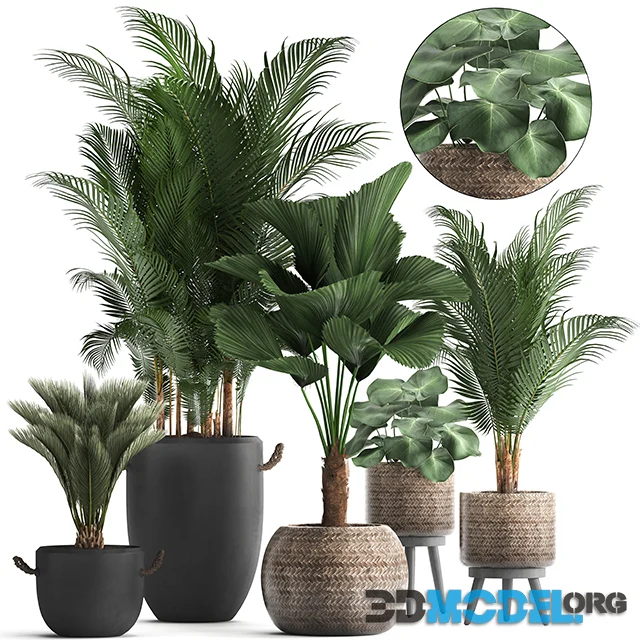 3D Model – Plant Collection 422