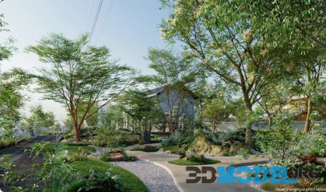 Globe Plants - Bundle 17 - Modern Janapese Garden