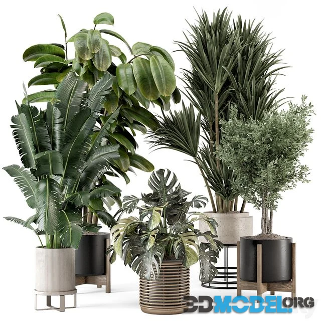 Indoor Plants in Ferm Living Bau Pot Large - Set 1328