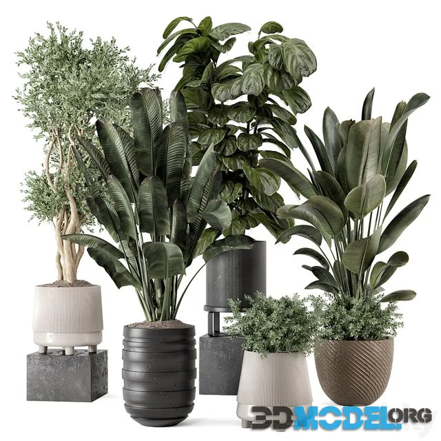 3D Model – Indoor Plants in rusty Concrete Pot - Set 1291