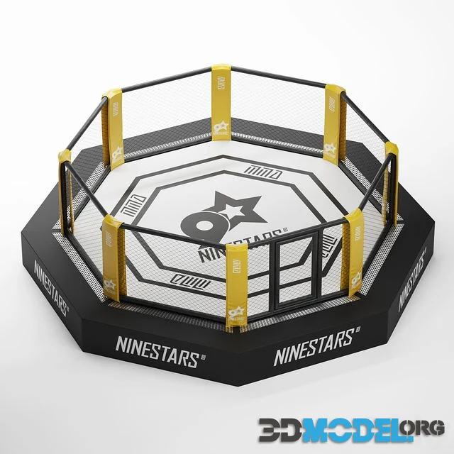 MMA arena octagon