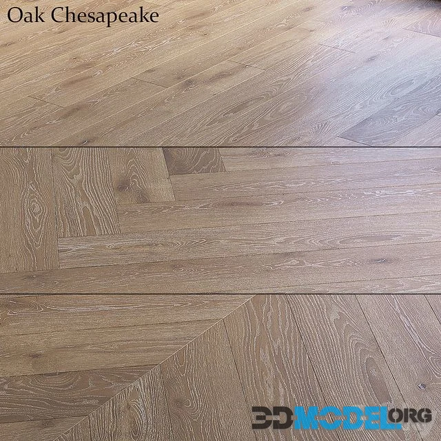 Oak Chesapeake