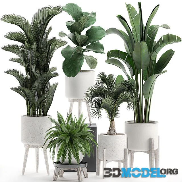 3D Model – Plant Collection 573