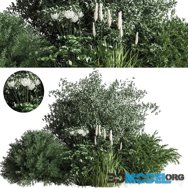 Bush04